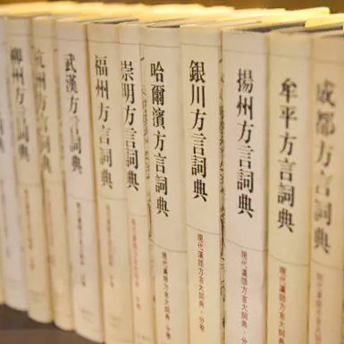 現代漢語方言大詞典.jpg